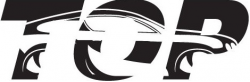 Top Car Rental Manila logo 2